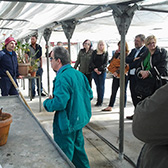3.	CAI Pando Greenhouse, a center for adults with intellectual disabilities. 